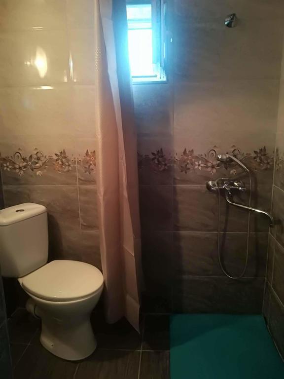 Nikoloz Guesthouse Kazbegi Eksteriør billede