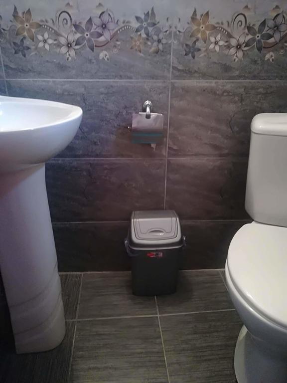 Nikoloz Guesthouse Kazbegi Eksteriør billede